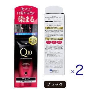�y2�Z�b�g�zDHC Q10�v���~�A�� �J���[�g���[�g�����g SS �u���b�N 150g �������� �m���V���R�� �J���[�g���[�g�����g �����J�o�[ �������� �w�A�g���[�g�����g �R�G���U�C��Q10 �c���� �_���[