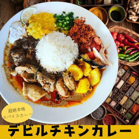スパイスカレー 【180g×6食】デビルチキンカレー スリランカカレー　完全無添加　無化調 LaLaカレー 辛口 激辛 グルテンフリー 冷凍 ギフト スパイス 詰め合わせ 送料無料 簡単調理 チキンカレー 香辛料
