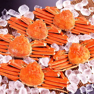 y1420`MAX40%OFFN[|zyg蔲QAiIzJi_Y{CYCKjpE500g×5 ⓀYCIyszyzykCꗣzsz