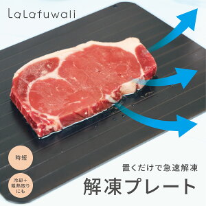 【24日20時〜MAX40%OFFクーポン】解凍プレート 急速解凍 3mm 粗熱取り 解凍皿 解凍板 解凍 プレート 粗熱 正規品 肉 ホタテ 解凍まな板 自然解凍プレート 冷凍食品 急速 最速 食品解凍 薄型 軽量