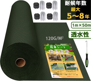 hV[g 1m 50m Gh~ x 120g sDz ϋv  ڂV[g PETf h V[g iv  x ڂ[ O[ _ | ƒ؉ K[fjO 󂫒n 
