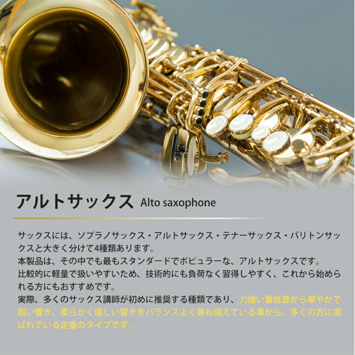 新品 本物 当店在庫だから安心 アルトサックス11点セット E Saxophone ゴールドラッカー ケース付き Cimacsanjuan Com Ar
