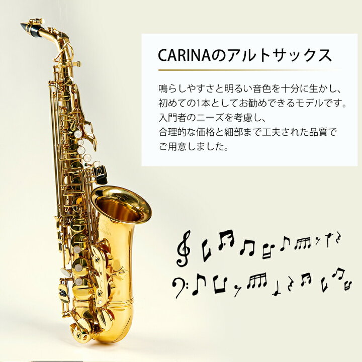 楽天市場】アルトサックス 初心者 入門セット 9点セットゴールド 
