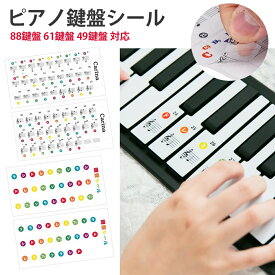 鍵盤シール ピアノ キーボード カラー 日本語 透明 クリア 練習 鍵盤 ステッカーシール イタリア語音名 カラー ドレミ ハーモニカ 88鍵盤 61鍵盤 49鍵盤