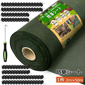 【予約】防草シート 2m×50m 雑草防止 不織布 高耐久 高透水 ぼうそうシート PET素材 防草 シート 半永久 ざっそう 高密度 ぼうそうしーと グリーン 農業 園芸 家庭菜園 ガーデニング 空き地 畑