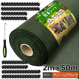 防草シート 固定ピン 付き 2m×50m 耐久年数5年～8年 高密度 120g 防そうシート 雑草防止シート UV剤入 庭 雑草防止 厚手 不織布 緑 高耐久 高透水 高密度 農業 園芸 家庭菜園 ガーデニング 高耐久【幅2mを幅1mに折り畳んでの発送】