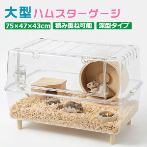 �y1000�~CP���労�ӍՊ��Ԍ���z��^�n���X�^�[�P�[�W �n���X�^�[�L�����[ �n���X�^�[ �n���X�^�[�̓�K���đ�ʑ� ���� ���F�� ���݂����� �ϖ��Ր� �ϊ��ݐ� ���C �ʋC�� ������ꂪ�ȒP