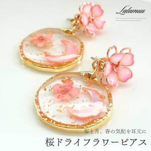 yz  sAX sN `[t TNsAX 傫 傫 h GKg g₷ JWA i  l  EFfBO uC_ v[g w