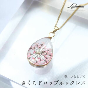 lbNX S[h   hbv 傫 傫 h GKg g₷ JWA i  l  EFfBO uC_ NX}X v[g yA ~ w 