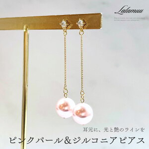 sAX AM[ Ή p[ sN ꗱ h WRjA S[h i fB[X 傫 h GKg g₷ JWA  EFfBO NX}X v[g