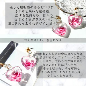 sAX AM[Ή KX p[    KX KX fB[X n[g h l i S[h sN u[ čՂ ԉ ԉΑ   ċx Mtg v