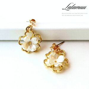 sAX AM[ Ή  t[ fB[X t[`[t S[h WRjA p[ h   Vv g₷ JWA i   l  