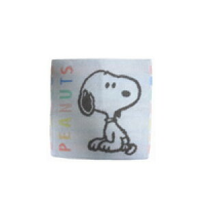 Xk[s[ ^I sNF ʁ[ҁ[ 킢 ~j^I hJ SNOOPY ObY ݂ɂ PEANUTS ^I