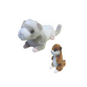 tFbg  ʂ Aj}  CeA ybg  zCg ӂ