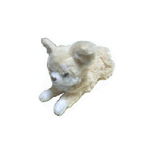 ` ʂ 킢`  ʂ cute CeA hbO  Ԃȓ L[g ʂ݂