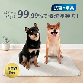 【SSアフターセール！5%クーポン】 【獣医師監修】 「2枚セット」 洗える ペットシーツ 犬 トイレマット おしっこマット 防水 滑り止め 速乾 高吸水 繰り返し使える 抗菌 防臭 トイレ下敷き 漏れにくい 室内 介護用 多頭飼い ペット用 LaLaPets