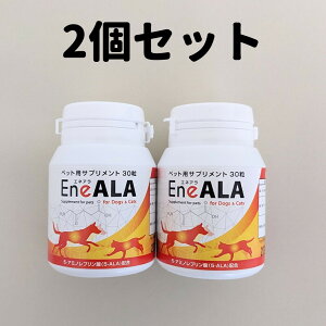 GlA 60(30×2)  p L Lp L Lp Tvg Tv EneALA  DAA