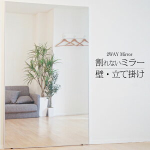 yT1000~N[|zȂ p Sg tB~[ Ǌ| X^h~[ 100×160cm ^ y ^ EH[~[ h nk΍ yŐVHDtBύXz