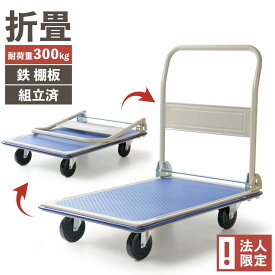 【法人宛 限定販売】PH3001 積載荷重 300kg 折り畳み スチール台車 鉄台車 ビーカム 組立済 完成品 キャスター 車輪 頑丈 丈夫 簡単 鉄製 スチール製 スチール台車 手押し 倉庫 工場 運搬 トレー 業務用 作業用 耐荷重 運搬台車