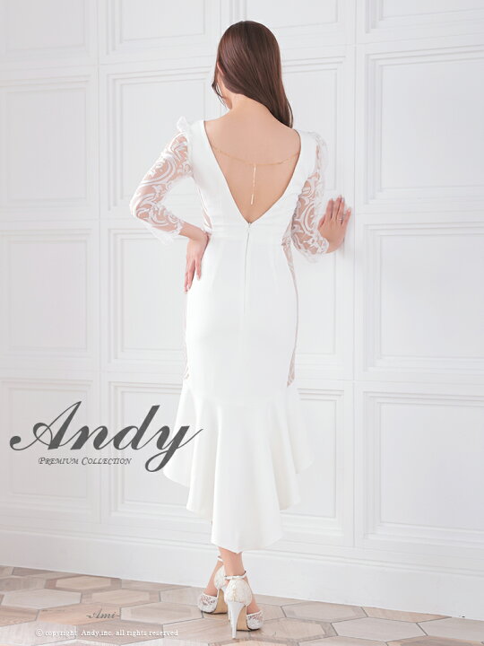 楽天市場】アンディ ANDY ワンカラー レース 袖あり シースルー タイト  