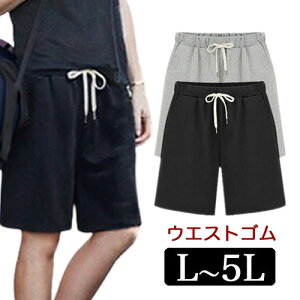 _Si^11/5܂Ł 傫TCY fB[X pc n[tpc EGXgS C[W[pc n[tpc Zp V[gpc W[W XEFbg XGbg  p