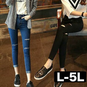 傫TCYfB[X pc _[WW[Y Xgb` XLj[ Xgb` fj _[W fj NbV W[p ZNV[ ̌^Jo[ {gX  ubN t  H ~ 