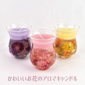 �A���} �L�����h�� �{�^�j�J�� �W�F���L�����h�� �}�[���C�h �t���l ��̓� �N���X�}�X �a�����̃M�t�g�Ɂy�������b�s���O�z�y����B�z