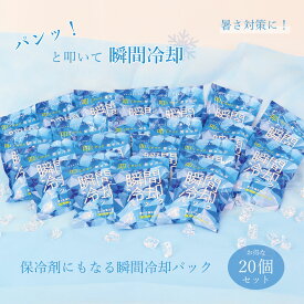 保冷剤 冷却剤 まとめ買い 20個セット 熱中症 対策 暑さ対策 長時間 熱冷まし【同梱B】