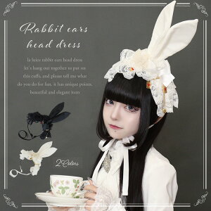 [^ B^ fB[X J`[V  ETM  AX wbhhX  wAANZT[ [X { yLALUICEz