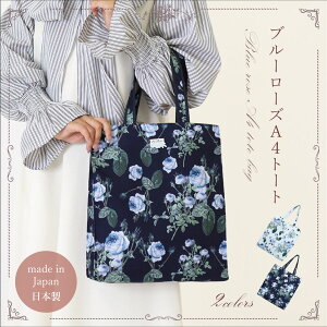 g[gobO  A4Ή fB[X o hD[e ԕ y e  i ʋ ʊw Mtg v[g {yLALUICEz