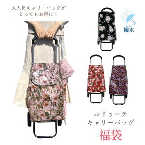 大特価!ルドゥーテキャリーバッグ 福袋 レディース ショッピングカート キャリー ソフト キャリーケース 撥水 軽い 防水 旅行 買い物 お出かけ