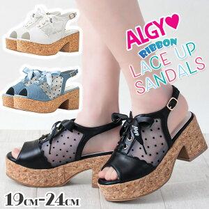 ALGY AW[ t T_  Xgbv V[Y C ̎q LbY WjA eB[Y fB[X  킢 w w TCY X|[c ʊw o    