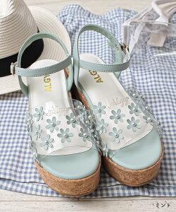 ALGY AW[ t T_  Xgbv V[Y C ̎q LbY WjA eB[Y fB[X  킢 w w TCY X|[c ʊw o    