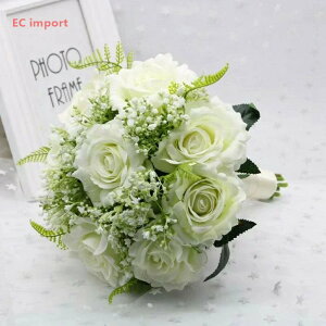 EFfBO u[P  uC_ t[ o@[Y@hE_ccW@zCgyԁEEFfBOu[PEuC_u[PEEGfBOu[PEu[Pzԉ ʐ^B