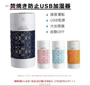  g fBt[U[ e g ~j }CN~Xg  USB ~j  ItBX 󕰂h~ Mtg v[g  H ~ USBڑ fXN ze 