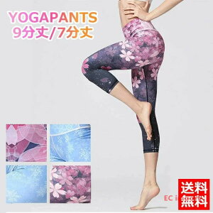  Kpc /㕪 MX KEFA K^Cc KMX fB[X rMX EGA X|[cEFA X|[cpc pc g[jOpc v~An 