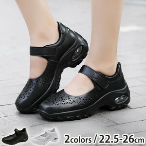 fB[X Xj[J[ pvX GANbVAbvV[Y  킢 Xb|  Cq[ [Jbg Ȃ ŌwC jO V[Y S  C 