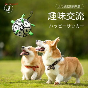  g[jO C^NeBu tbg{[  Ӗq R[M[ S Z ݂ɋ  ^ ybgpi