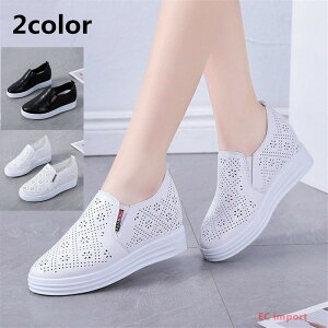 Xb|fB[XXj[J[bVԕtČCq[RtH[gV[YCɂȂ₷ʋCQzCg 