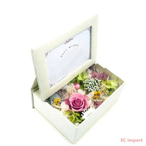 ̓ Mtg 2024   w } vU[uht[ v[g ʐ^ tHgt[  Mtg a 