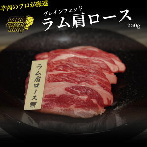 OCtFbh[XXCX@250gy r   OCtFbh  ē BBQ o[xL[ AEghA Lv  Ⓚz