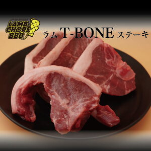 BY T-BONEXe[L@4s[X(450gȏ)y I[XgAY OXtFbh WMXJ r   ē BBQ o[xL[ AEghA Lv  Ⓚz