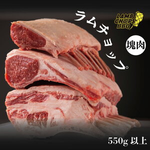 yEubNzBY `bv@550gȏyI[XgAY OXtFbh bN WMXJ r   ē BBQ o[xL[  t AEghA L