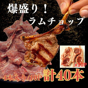 yzt`bv40{ IȒPpbN NZȂ{i BBQEp[eB[EMtg Ɩp yW[V[rz