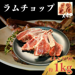 yzt `bv 1kg(4{/4P 16{) bN _炩W[V[ȃ ĂȒP BBQ o[xL[ [Xg ē j r  Mtg