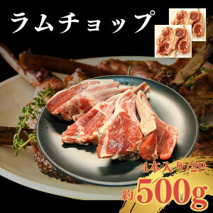 yzt `bv 500g(4{/2P 8{) bN _炩W[V[ȃ ĂȒP BBQ o[xL[ [Xg ē j r  Mtg