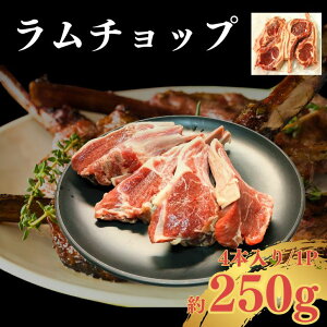yґȎ|݁zt `bv 250g(4{/1P) bN _炩W[V[ȃ ĂȒP BBQ o[xL[ [Xg ē j r  Mtg Cxg Ɩp