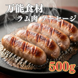 yĂȒPz  ECi[ \[Z[W 500g ԐgғgpŃwV[ ᓜ BBQ ٓ ܂ r[ r zbghbO u ٓ \H  Vs Ⓚ r