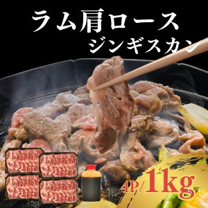 yzkC  WMXJ 1kg 250g×4P  [X XCX  r ĂȒP ⓀۑOK BBQZbg ēp NZȂ 񂹃O Cxg Ɩp
