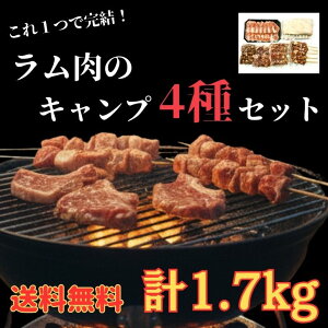 yzԌ   4 Lv BBQ ZbgiWMXJE`bvEEncj  ē AEghA HނɍœK
